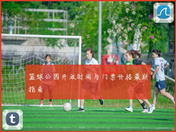 篮球公园开放时间与门票价格最新指南